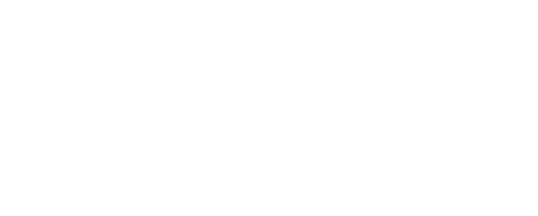 Little Brother Media Productions